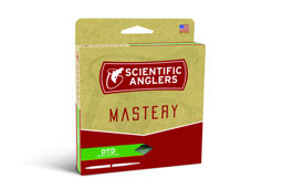 Image de SCIENTIFIC MASTERY DTD YELLOW