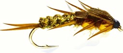 Zeige Details für NYMPHEN CREEPER OLIVE (GOLD NUGGET) Bild von NYMPHEN CREEPER OLIVE (GOLD NUGGET)