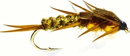 Image de NYMPHEN CREEPER OLIVE (GOLD NUGGET)