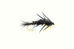 Image de NYMPHEN CREEPER BLACK (GOLD NUGGET)