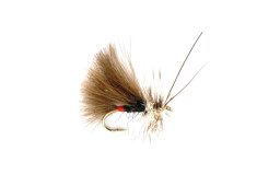 Bild von TROCKENFLIEGE SEDGE HIGH RIDER CDC BLACK