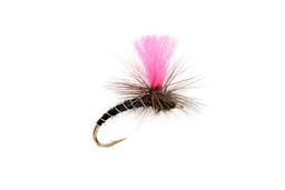 Image de TROCKENFLIEGE OE PINKHAMMER