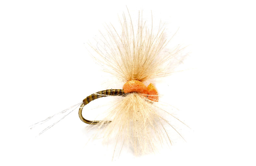 Bild von TROCKENFLIEGE DROP ARSE SPINNER OLIVE BARBLESS