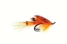 Vedi i dettagli per LACHSFLIEGEN GENERAL PRACTITIONER Immagine di LACHSFLIEGEN GENERAL PRACTITIONER