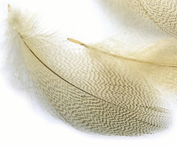 Zeige Details für VENIARD MALLARD DUCK BRONCE Bild von VENIARD MALLARD DUCK BRONCE