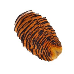 Zeige Produkte für Kategorie Bälge Bild für Kategorie Bälge