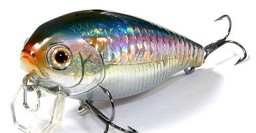 Show details for LUCKY CRAFT MOONSAULT CB-001 AMERICAN SHAD Picture of LUCKY CRAFT MOONSAULT CB-001 AMERICAN SHAD