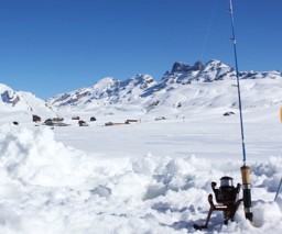 Afficher les articles de la catégorie Ruten & Rollen Images de la catégorie Ruten & Rollen