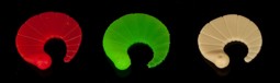 Zeige Details für IRON TROUT CODA SCURA MIX Bild von IRON TROUT CODA SCURA MIX