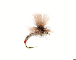 Zeige Details für TROCKENFLIEGE INFALLIBLE Bild von TROCKENFLIEGE INFALLIBLE