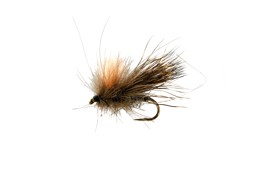 Zeige Details für CATCHY FLIES -  CDC DEER CADDIS  Bild von CATCHY FLIES -  CDC DEER CADDIS