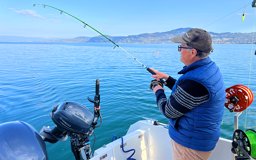 Zeige Details für PERL®TEC DRILLSTOCK RUTE DELUXE 200CM Bild von PERL®TEC DRILLSTOCK RUTE DELUXE 200CM