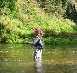 Show products in category Bekleidung Frauen Picture for category Bekleidung Frauen