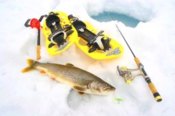 Afficher les articles de la catégorie Köder, Schnüre & Zubehör Images de la catégorie Köder, Schnüre & Zubehör