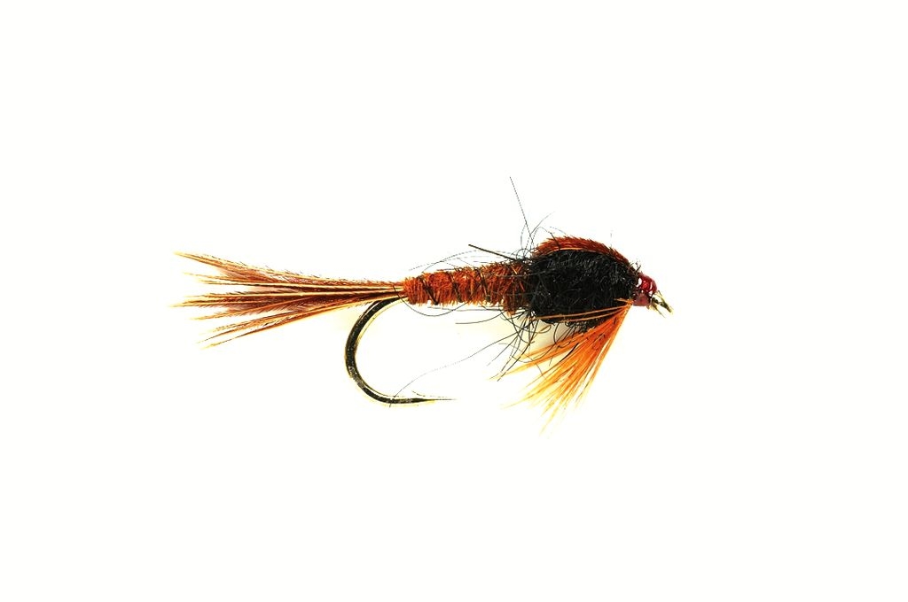 Bild von NYMPHEN PHEASANT TAIL BLACK WEIGHTED