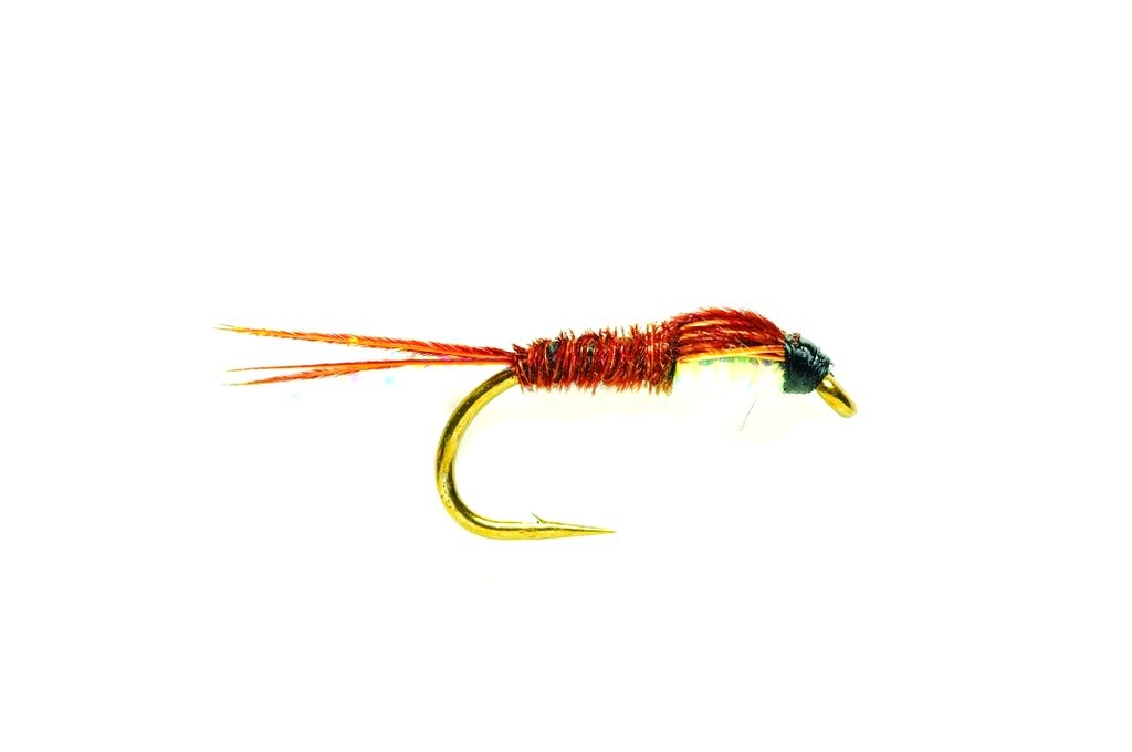 Bild von NYMPHEN PHEASANT TAIL PEARLY