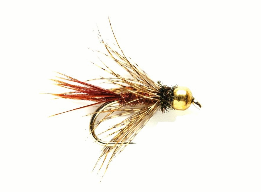 Bild von TUNGSTEN NYMPHEN SOFT HACKLE PHEASANT TAIL