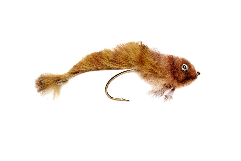 Image de STREAMER OE SCULPIN