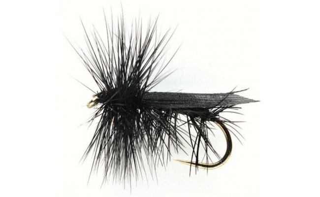 Bild von TROCKENFLIEGE CADDIS BLACK