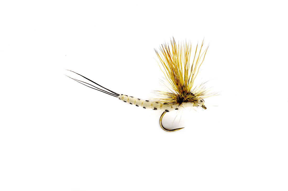 Bild von TROCKENFLIEGE MOHICAN MAYFLY BARBLESS