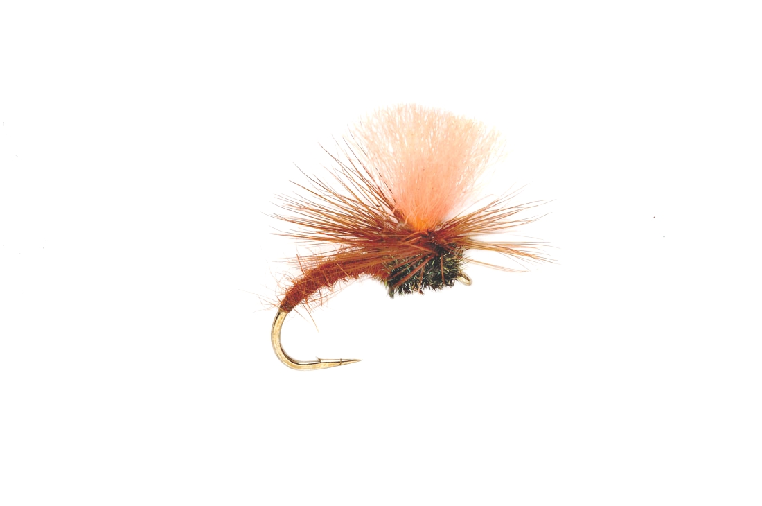 Bild von TROCKENFLIEGE TUTTY FRUITY KLINK BARBLESS