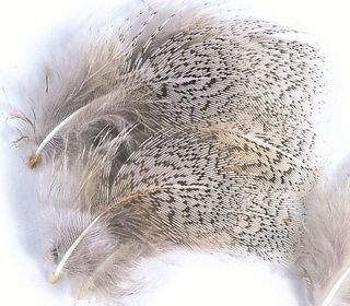 Image de VENIARD ENGLISH PARTRIDGE - GREY NECK FEATHERS