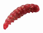 Picture of BERKLEY SPARKLE HONEY WORM RED/SCALES