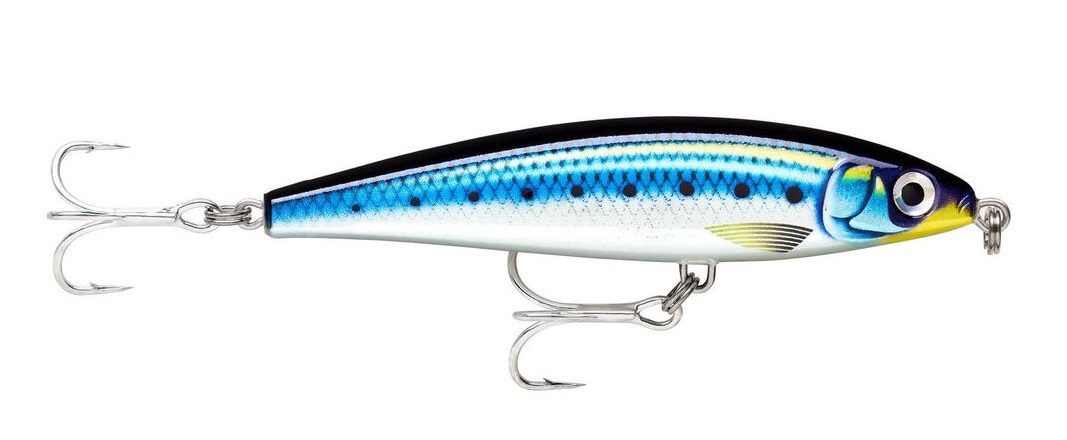 Picture of RAPALA X-RAP MAGNUM PREY HDBSRD