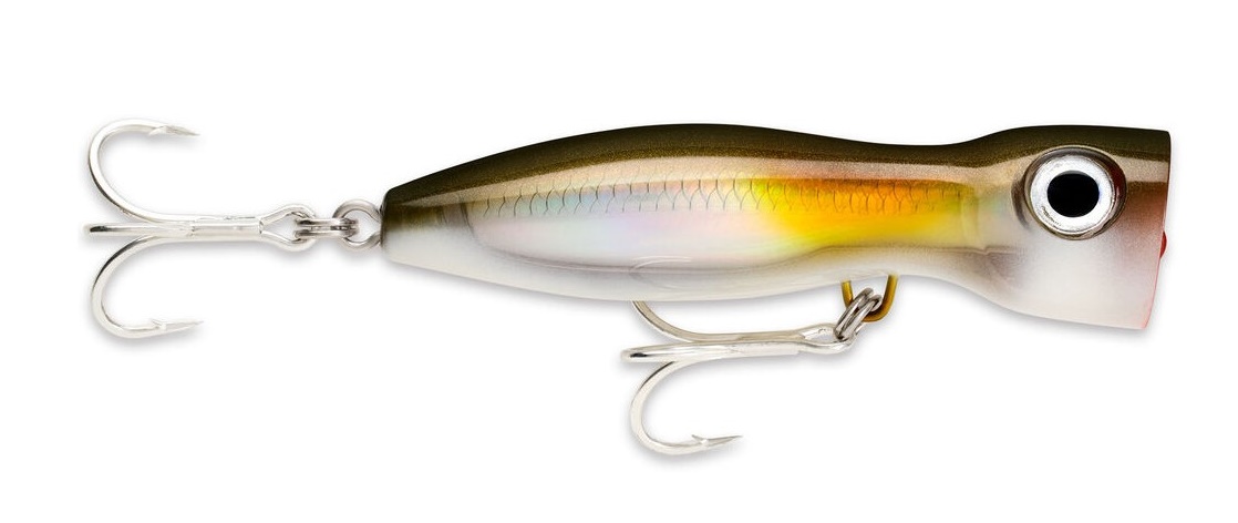 Immagine di RAPALA X-RAP MAGNUM XPLODE AYU