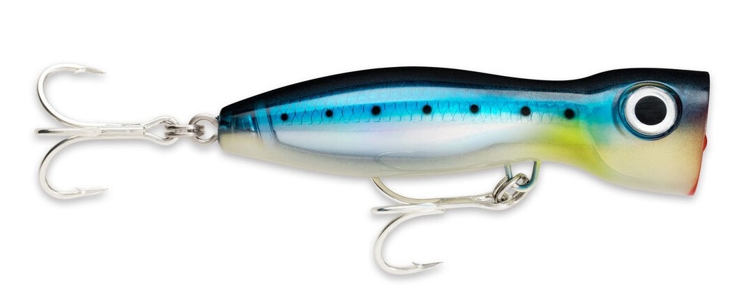 Bild von RAPALA X-RAP MAGNUM XPLODE BSRD