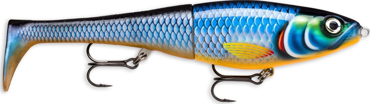 Immagine di RAPALA X-RAP PETO BLUE GHOST 14cm