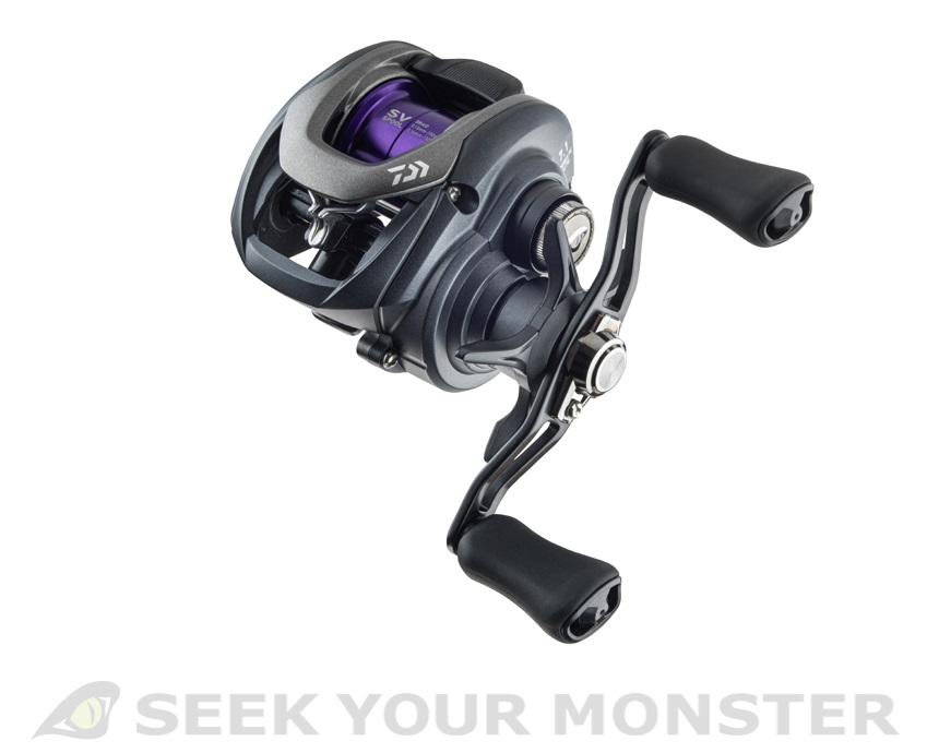 Immagine di DAIWA PROREX PE SV TW