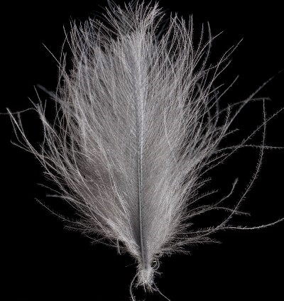 Immagine di SWISSCDC FEDERN - FINEST FEATHERS PALE DUN