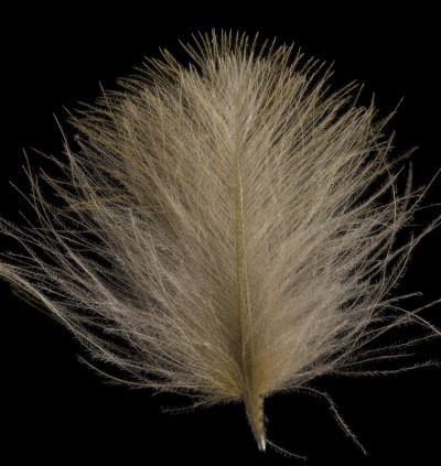 Picture of SWISSCDC FEDERN - FINEST FEATHERS OLIVE