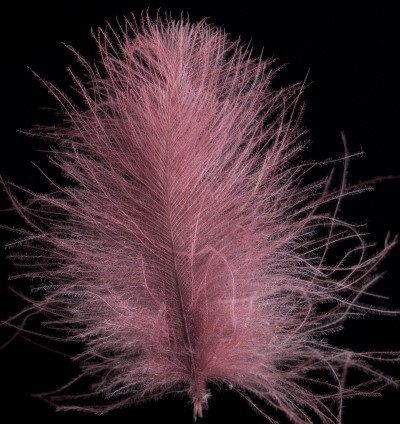 Picture of SWISSCDC FEDERN - FINEST FEATHERS ROSA LILLA