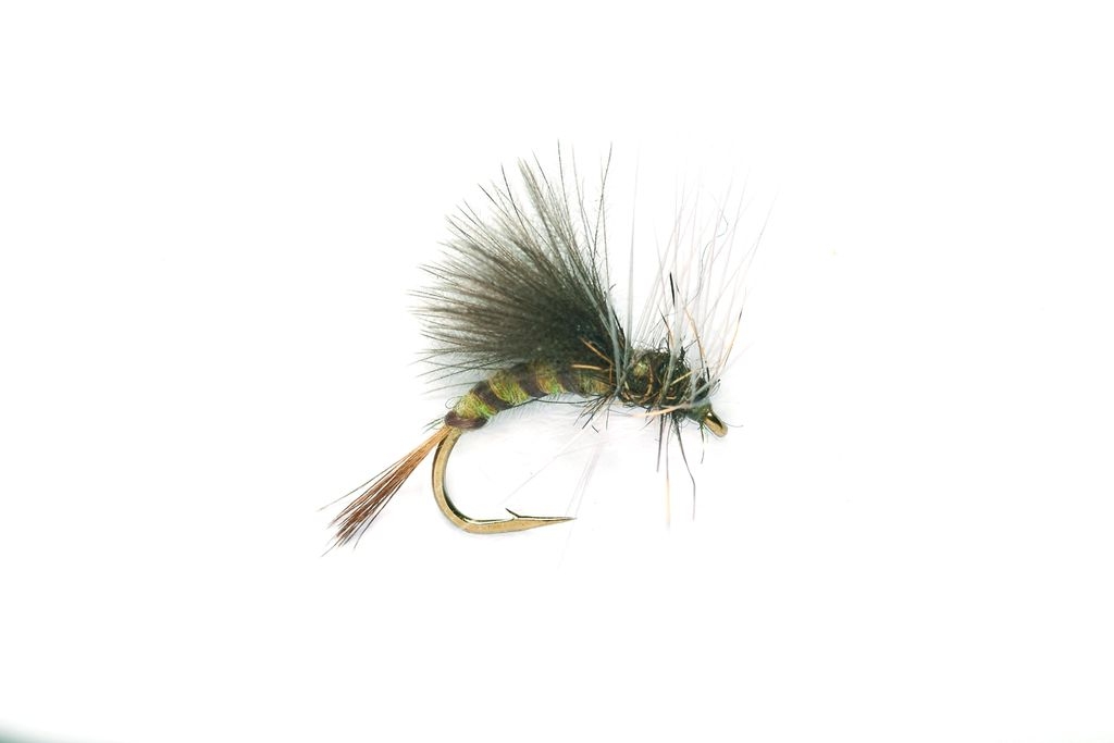 Bild von FULLING MILL TROCKENFLIEGE OLIVE EMERGER