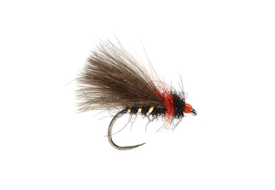 Image de TROCKENFLIEGE ROZA BIBIO CADDIS B/L