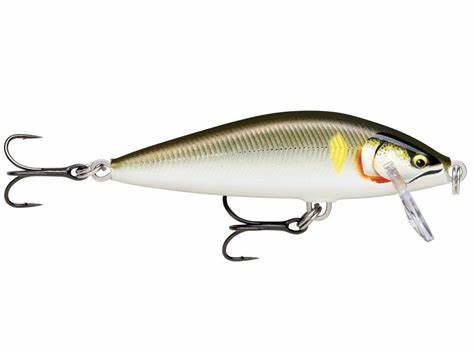 Bild von RAPALA COUNTDOWN ELITE GDAY