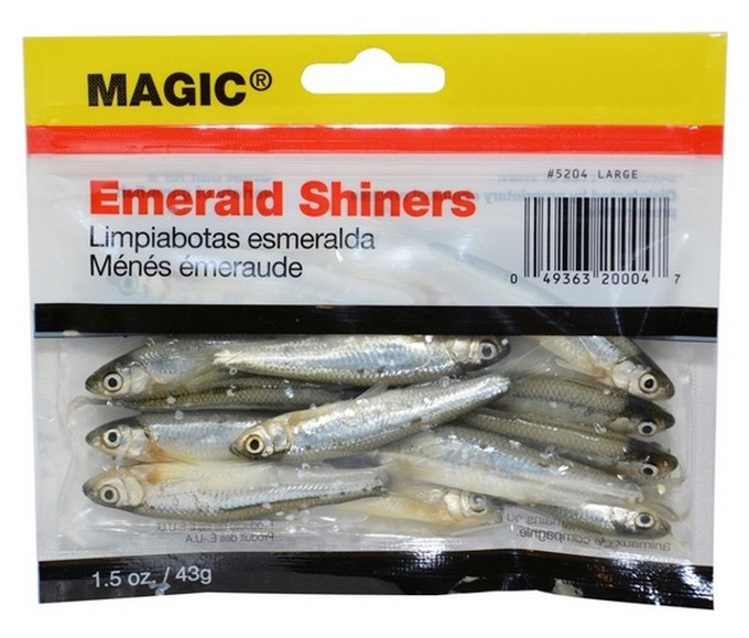 Picture of MAGIC EMERALD SHINERS LARGE