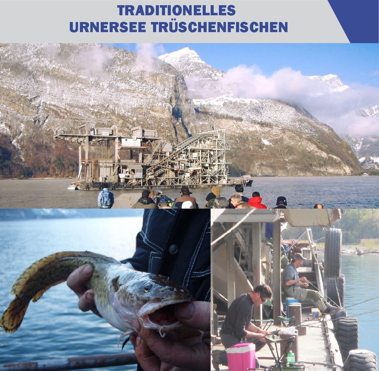 Image de SCHWIMMBAGGER TRÜSCHENFISCHEN AUF DEM URNERSEE 08.11.2025