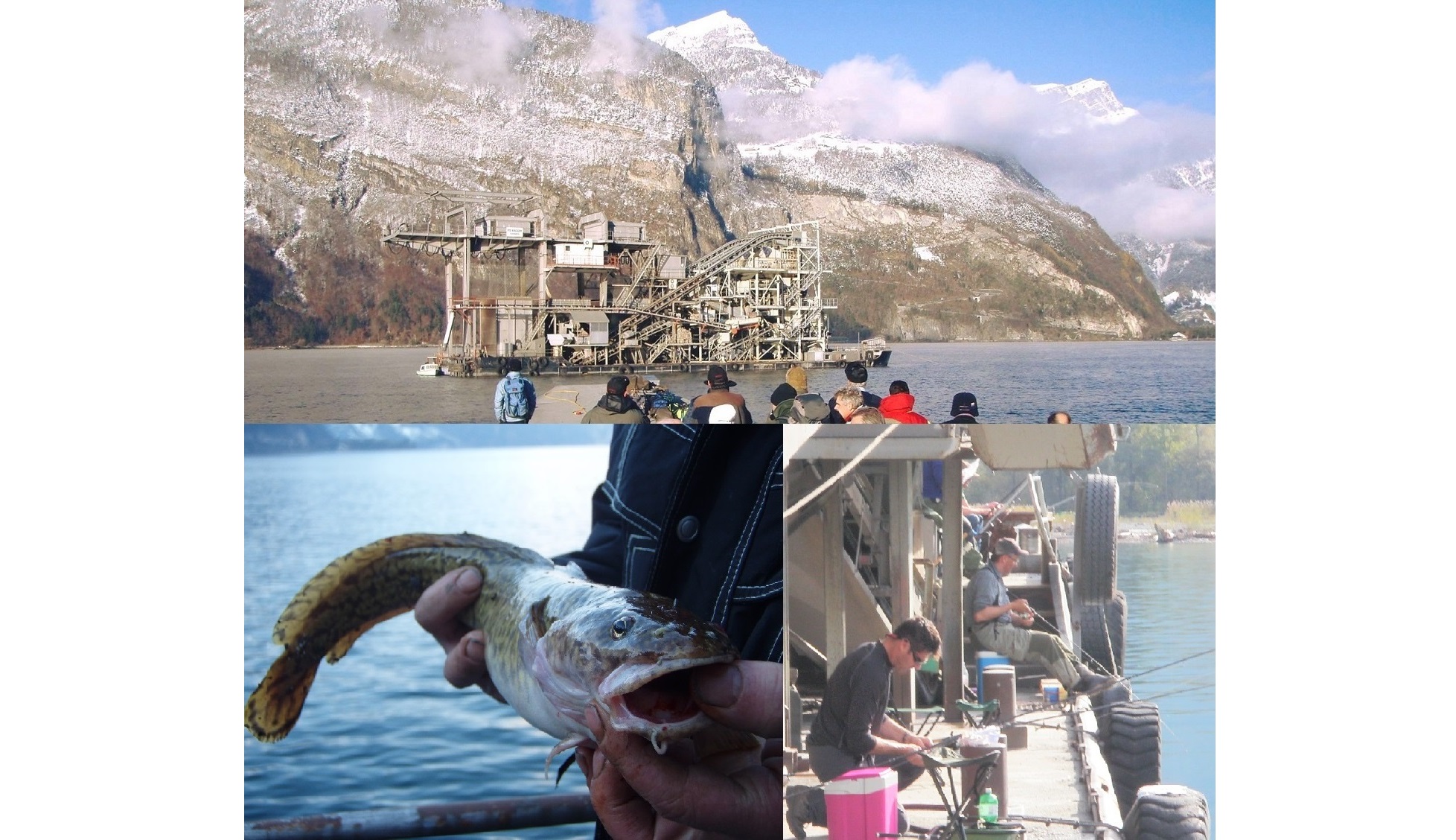Bild von SCHWIMMBAGGER TRÜSCHENFISCHEN AUF DEM URNERSEE 08.11.2025