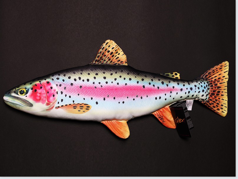 Immagine di STOFF-FISCH REGENBOGENFORELLE