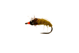 Show details for CATCHY FLIES -  CADDIS NYMPH TUNGSTEN OLIVE-BLACK Picture of CATCHY FLIES -  CADDIS NYMPH TUNGSTEN OLIVE-BLACK