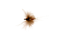 Show details for CATCHY FLIES -  CDC RED SPINNER SPENT BARBLESS Picture of CATCHY FLIES -  CDC RED SPINNER SPENT BARBLESS