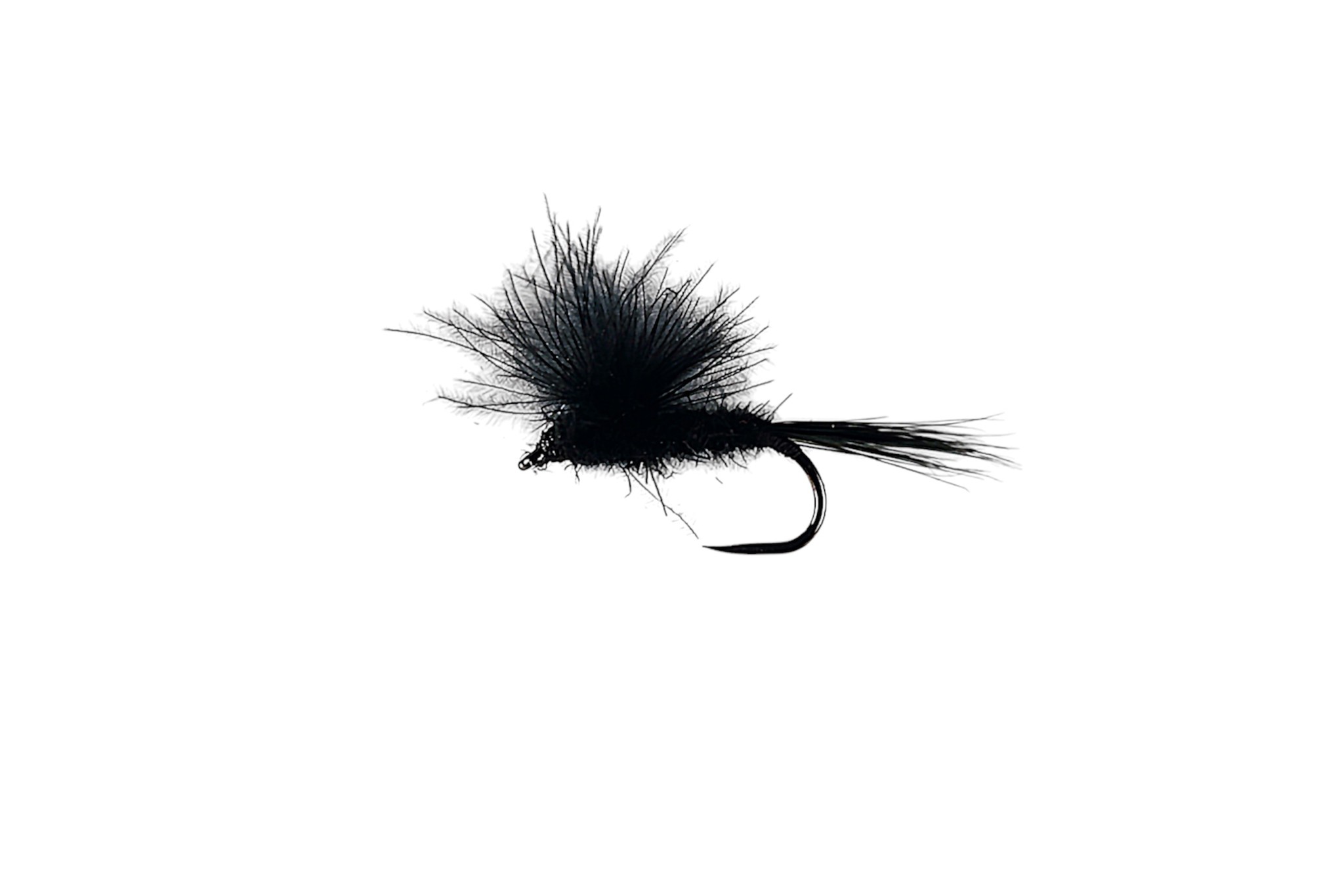 Picture of  CATCHY FLIES -  CDC BLACK ADULT