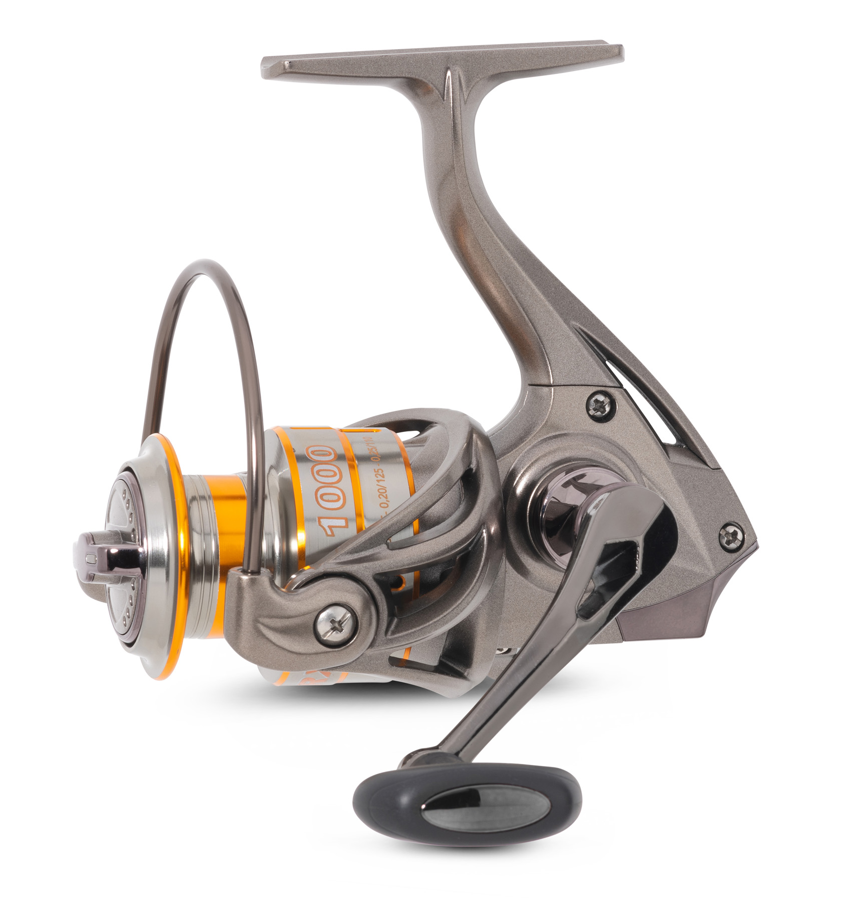 Bild von RX-F 1000
