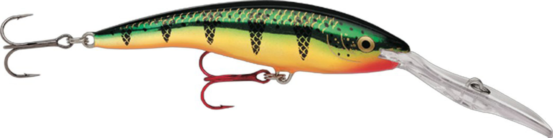 Picture of DEEP TAIL DANCER 11 FLP