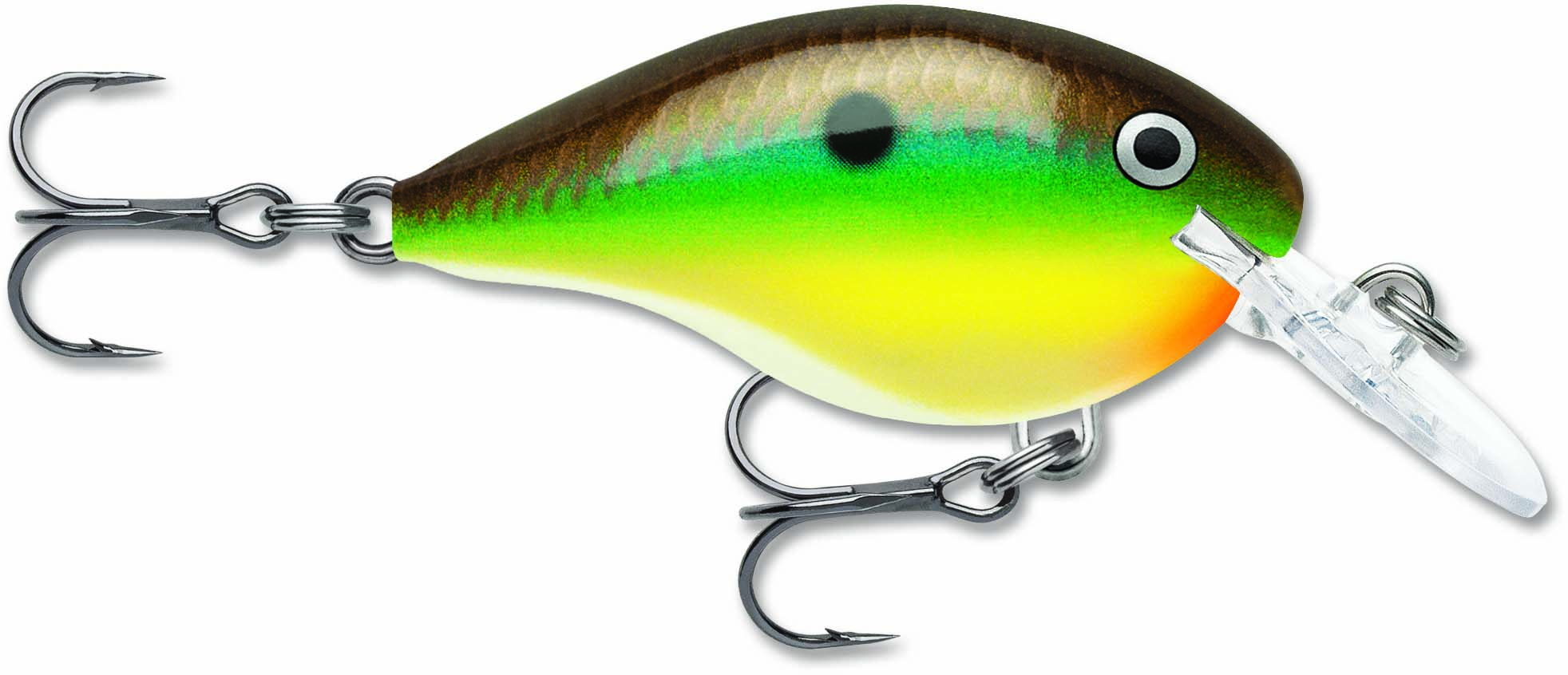 Picture of DIVES-TO DT04