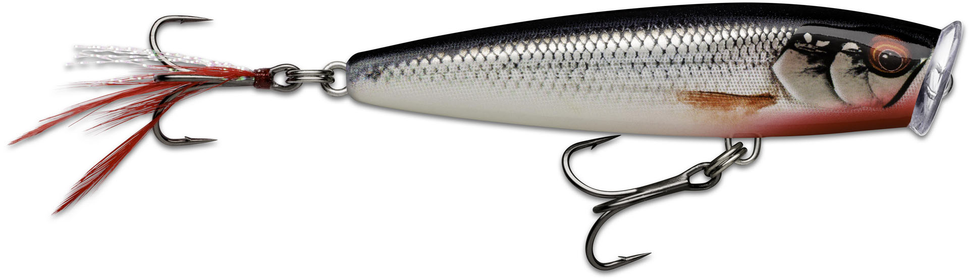 Picture of SKITTER POP ELITE SPE75 GDNIA