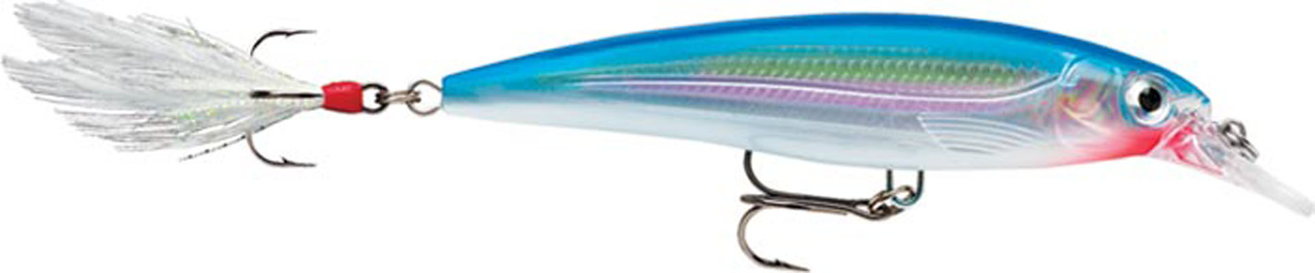 Picture of X-RAP XR08 SB